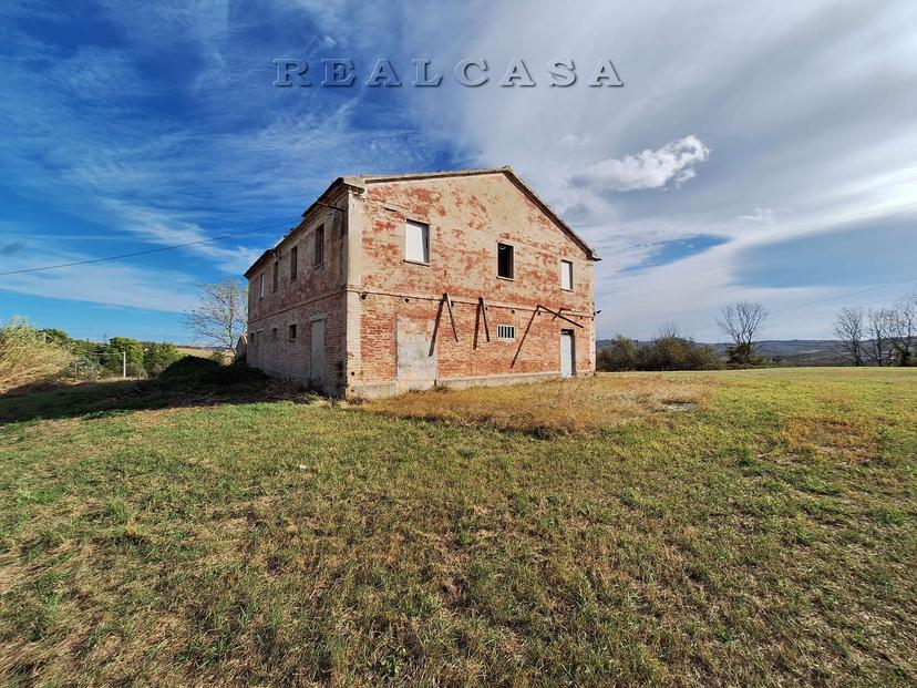 Rustico, Polverigi — foto 2 di 5
