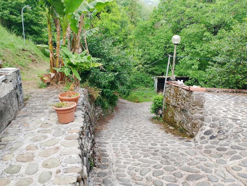 Rustico, Lucca — foto 3 di 3