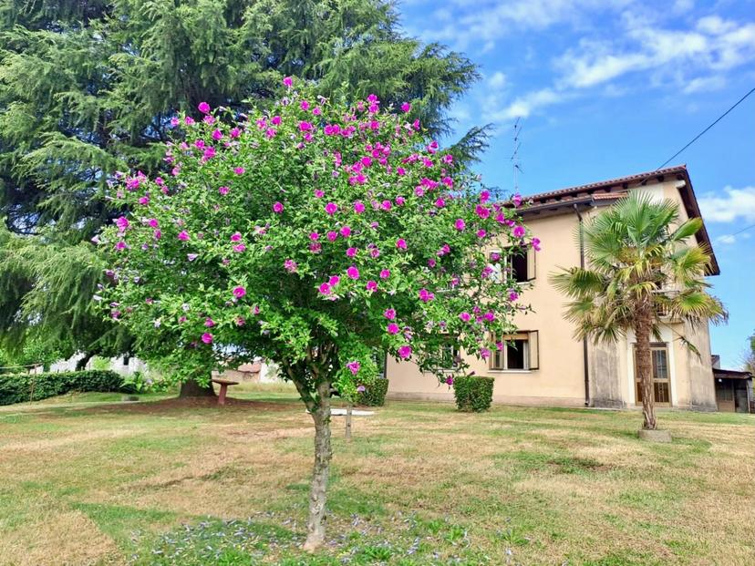 Villa unifamiliare, San Martino al Tagliamento — foto 4 di 5