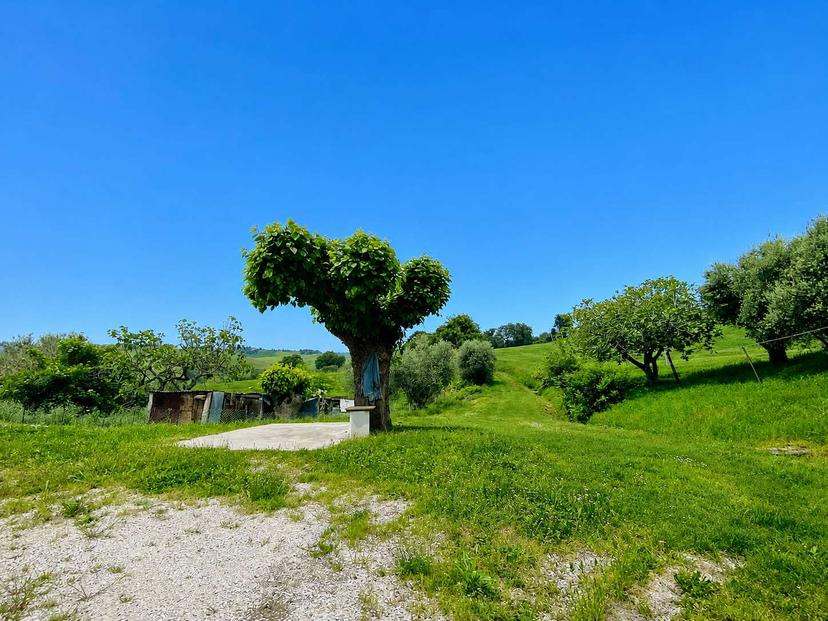 Appartamento in Via Santa Caterina  12, Staffolo — foto 3 di 5
