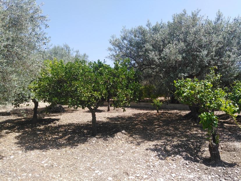 Casa indipendente, Chiaramonte Gulfi — foto 2 di 5