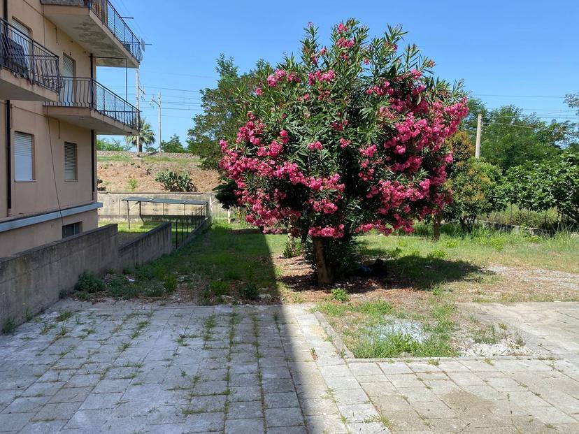 Quadrilocale in Contrada Cartolano Snc, Falerna — foto 4 di 5