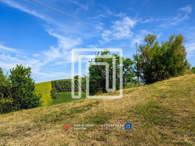 Rustico in Contrada Teto, Penne — foto 3 di 5