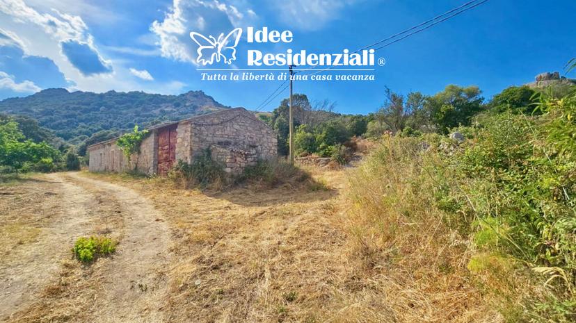 Rustico in San Bacchisio, Telti — foto 3 di 5