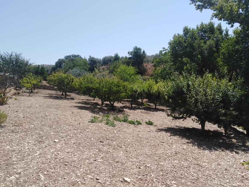 Casa indipendente, Chiaramonte Gulfi — foto 4 di 5