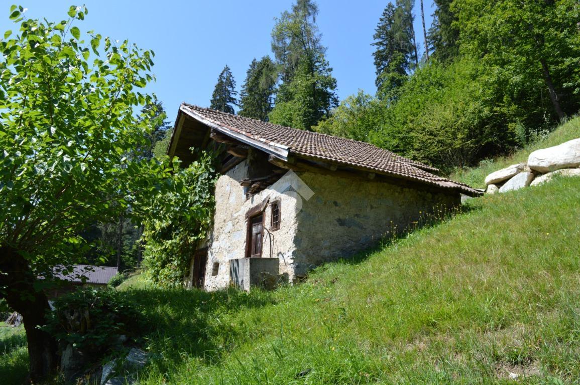 Rustico in Via Loc., Strembo