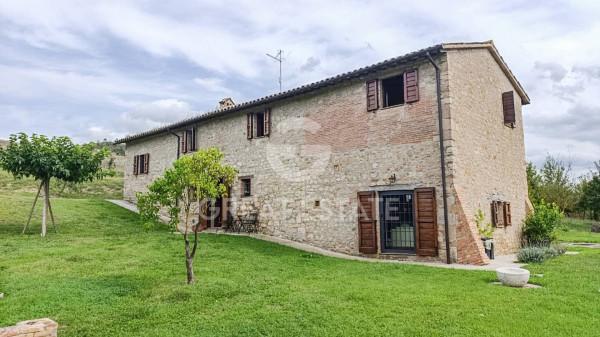 Casale, Todi — foto 5 di 5