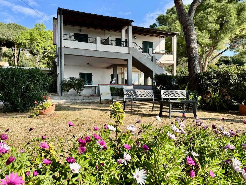 Terratetto, Capoliveri — foto 5 di 5