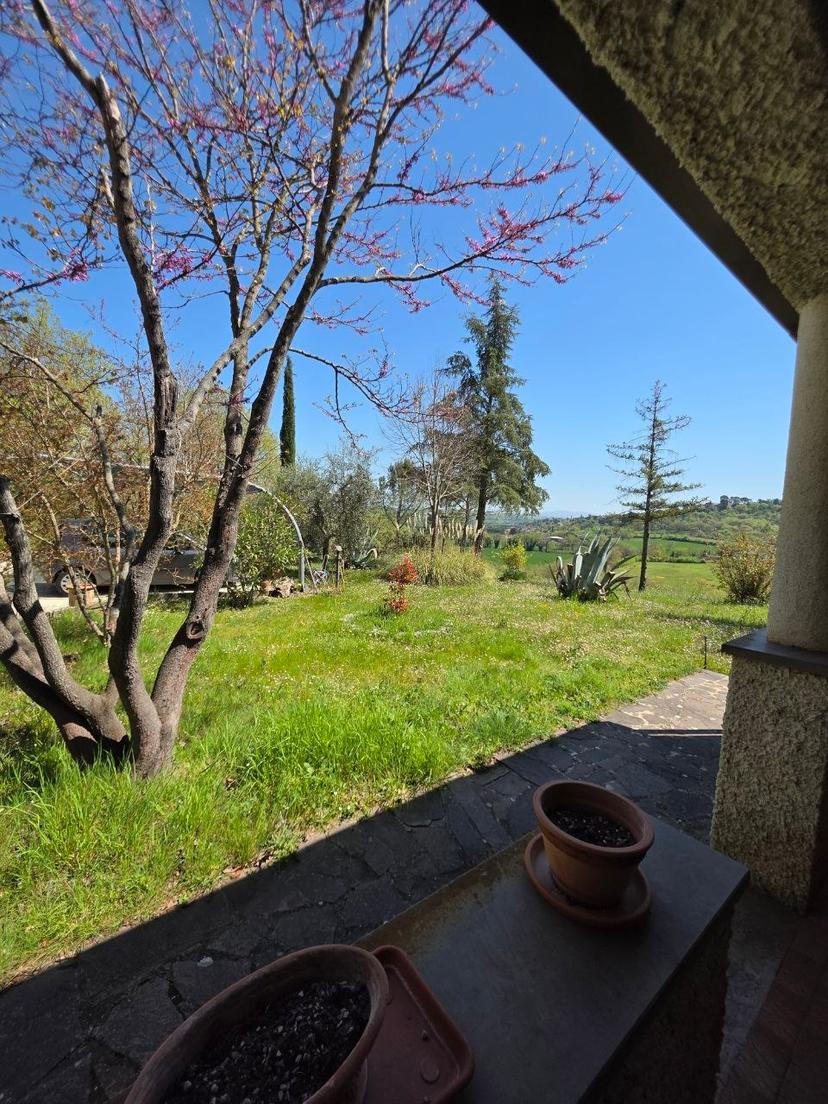 Villa, Piegaro — foto 3 di 5