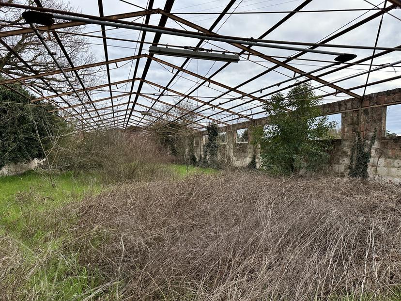 Rustico, Perugia — foto 3 di 5