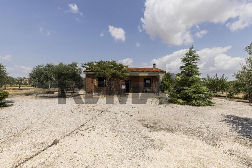 Villa in Contrada Belvedere Snc, Troia — foto 5 di 5