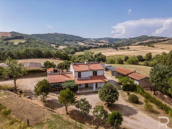Rustico in Strada Provinciale Cinigianese, Cinigiano