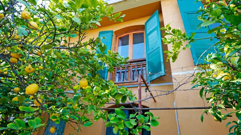 Casa indipendente in Via alla Rocca 45, Spotorno — foto 5 di 5