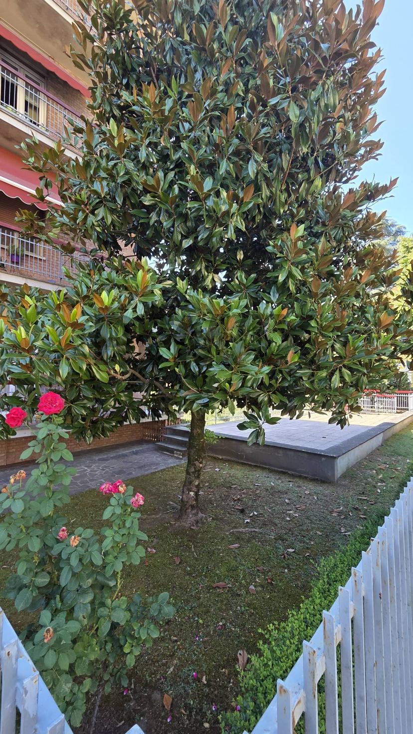 Appartamento in Via a. Mrconi 6, Tredozio — foto 4 di 5
