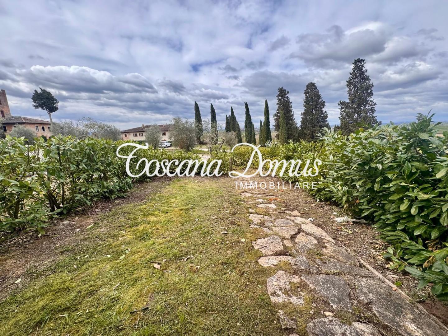 Terratetto in di Salteano, Asciano