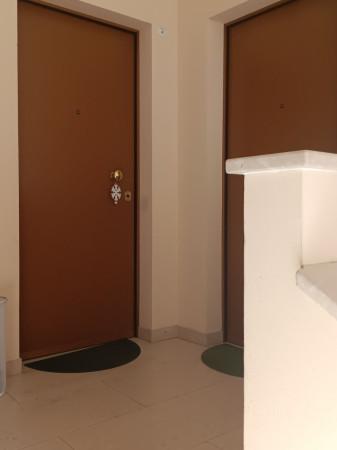 Bilocale, Castel Bolognese — foto 2 di 4