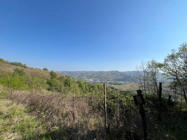 Cascina in Via Armentino, Calosso — foto 4 di 5