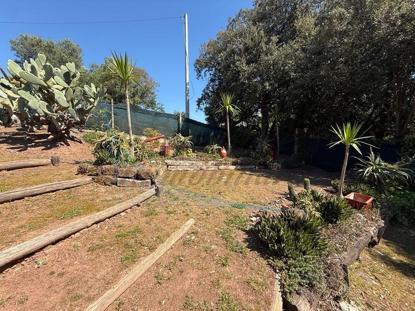 Casa indipendente in Località col di Leccio, Rosignano Marittimo — foto 2 di 5