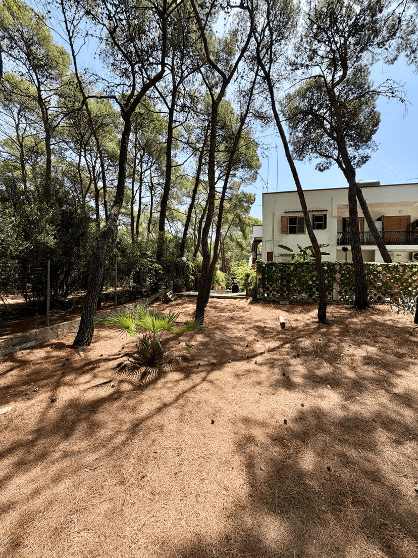 Casa indipendente in Via Gordon 52, Castellaneta — foto 3 di 5