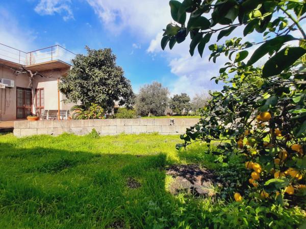 Terratetto unifamiliare in Via Luminaria 158, Giarre — foto 3 di 5