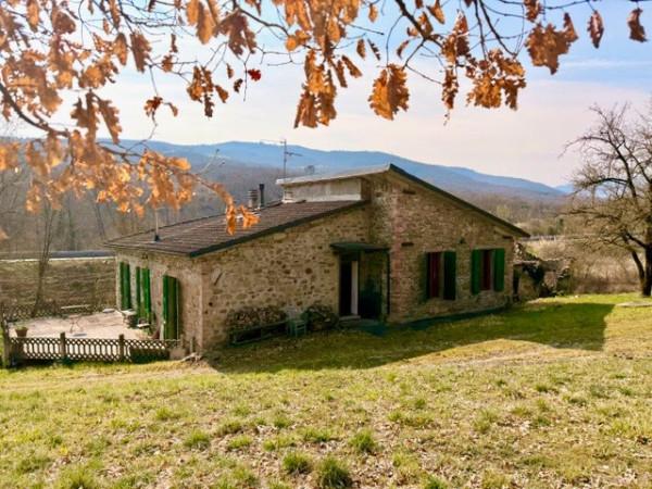 Sasso in Via Molinaccio 53, Gaggio Montano — foto 2 di 5