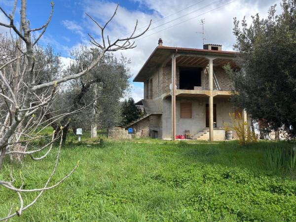 Villa plurifamiliare in Località Piantata, Bolsena — foto 5 di 5