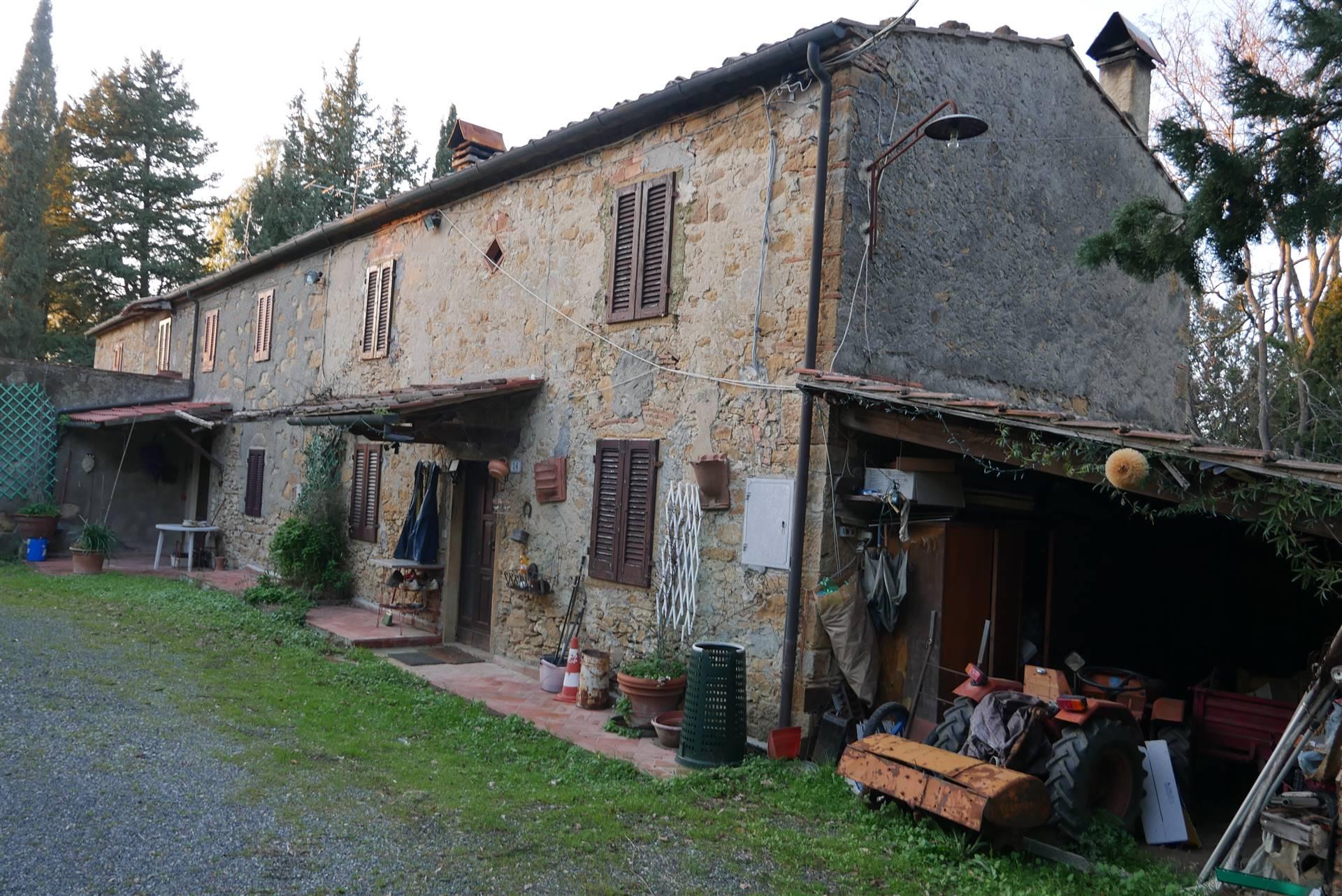 Rustico, Montescudaio