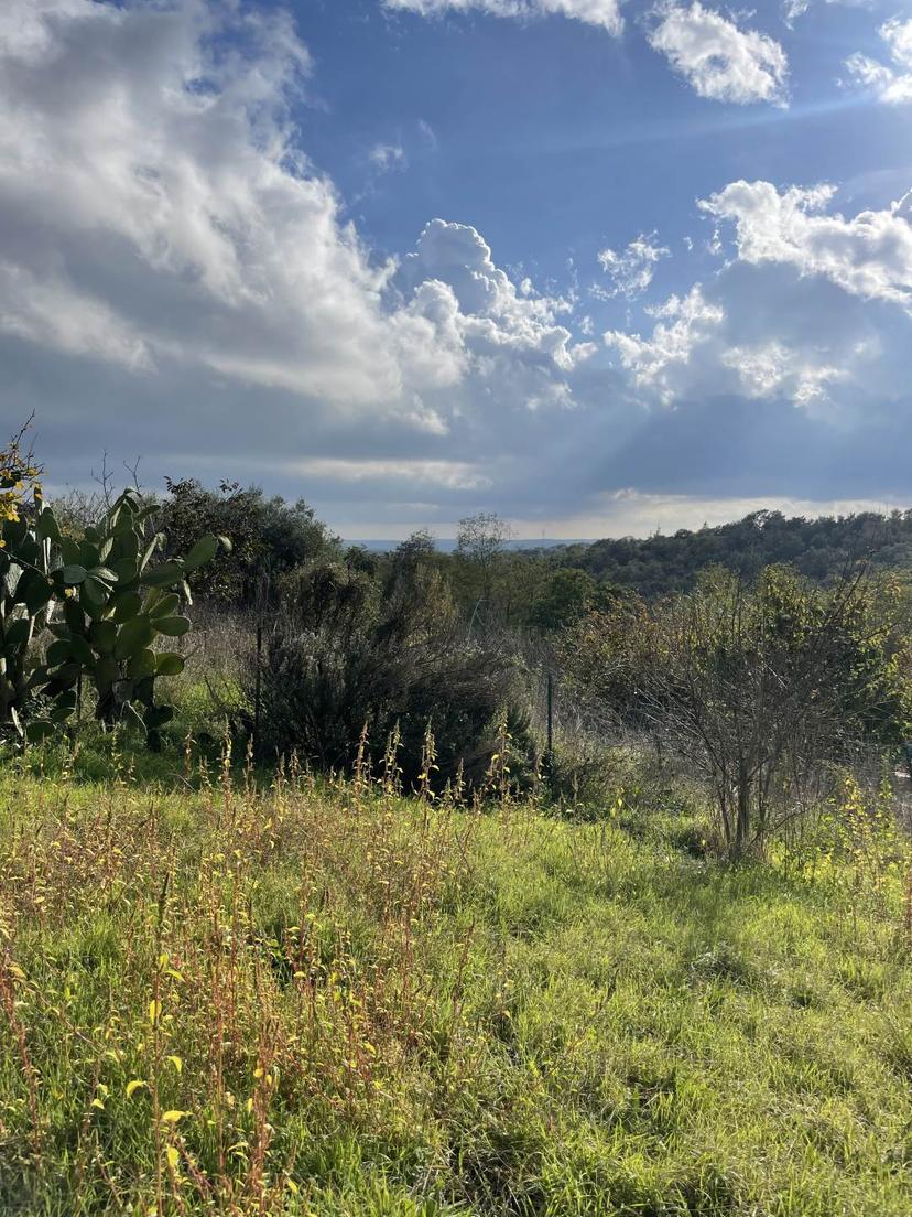 Rustico, Tuscania — foto 4 di 5