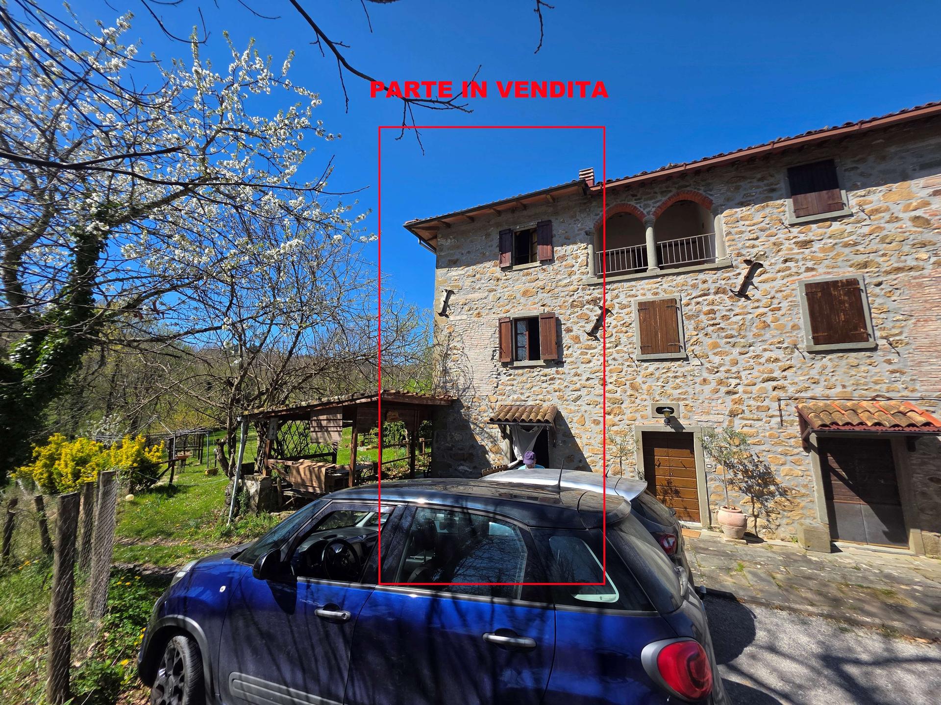 Rustico in Pianacci, Villa Collemandina