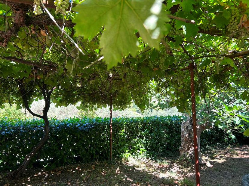 Appartamento in Via Santa Maria 11, Dipignano — foto 3 di 5