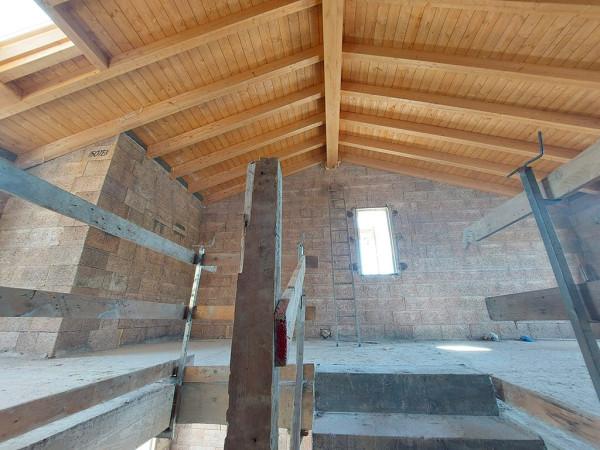 Villa bifamiliare in Via del Castello-Coenzo, Sorbolo Mezzani — foto 2 di 5