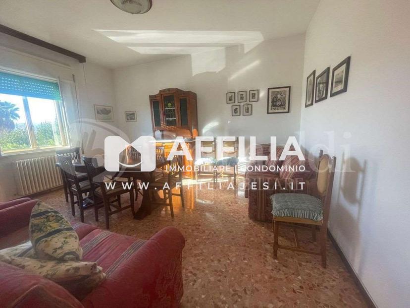 Casa indipendente in Via Roma, Jesi — foto 4 di 5