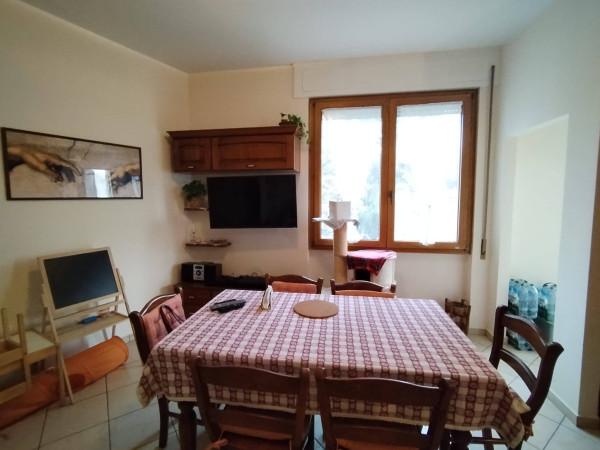 Trilocale in Via Ribolle, Forlì — foto 5 di 5