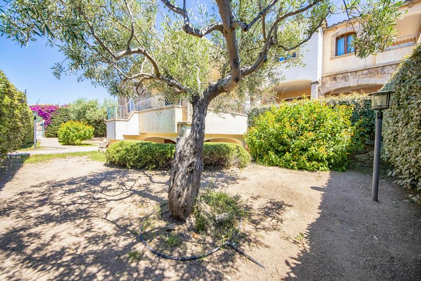 Villa a schiera in Via Mar Ligure, Olbia — foto 3 di 5