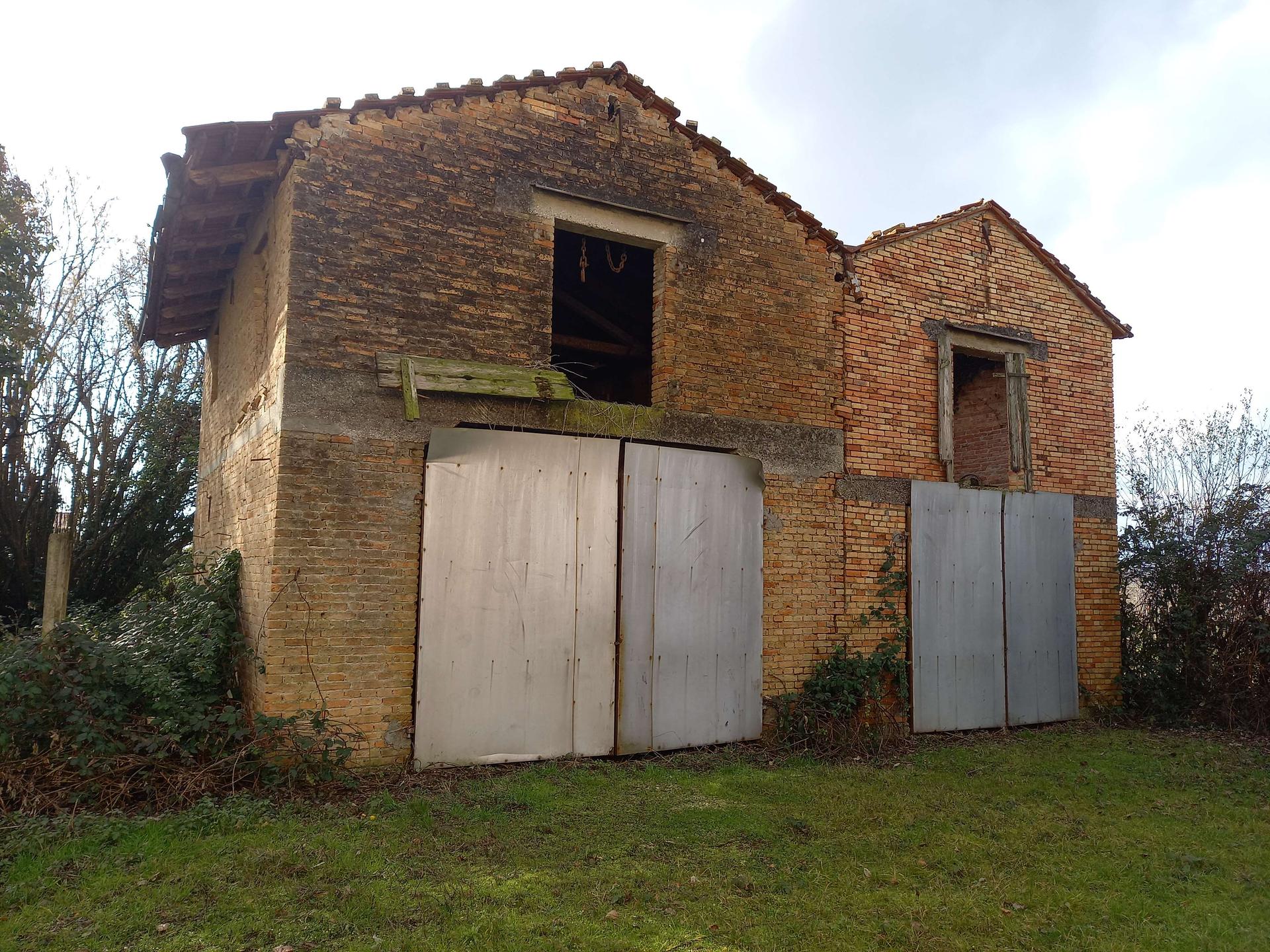 Rustico, Oderzo
