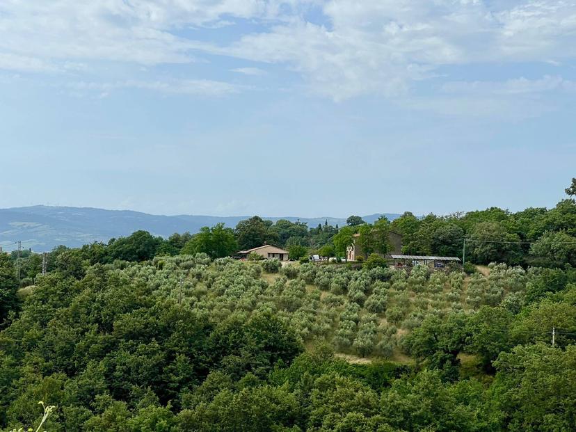 Rustico in Loc III San Giovanni, Manciano — foto 3 di 5