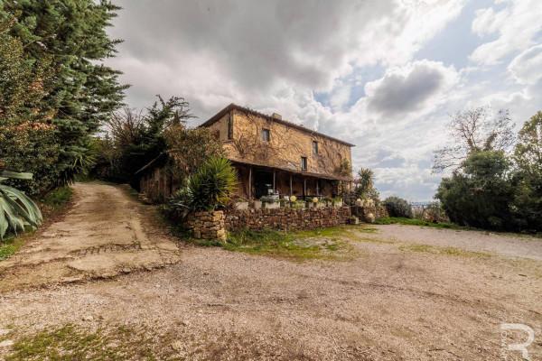 Rustico in Via Val di Cornia, Monterotondo Marittimo — foto 5 di 5