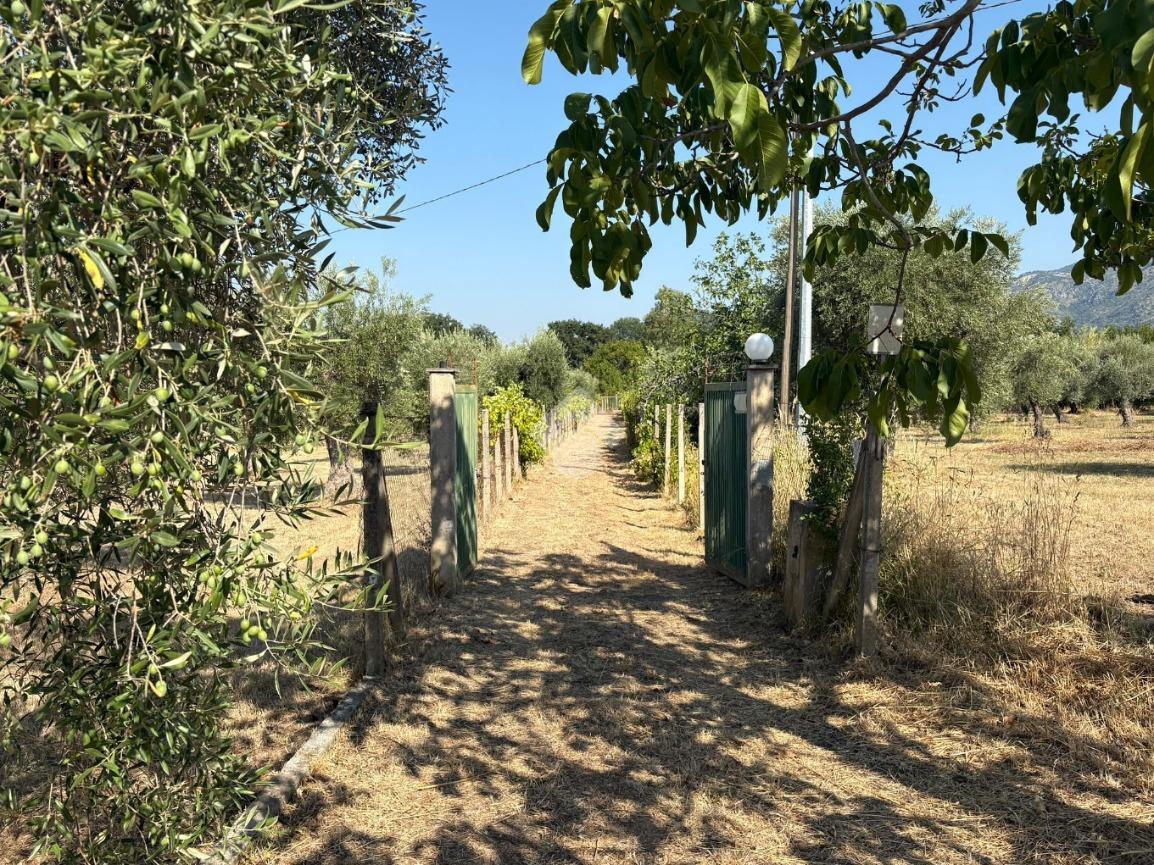 Rustico in V. delle Vigne, Sermoneta