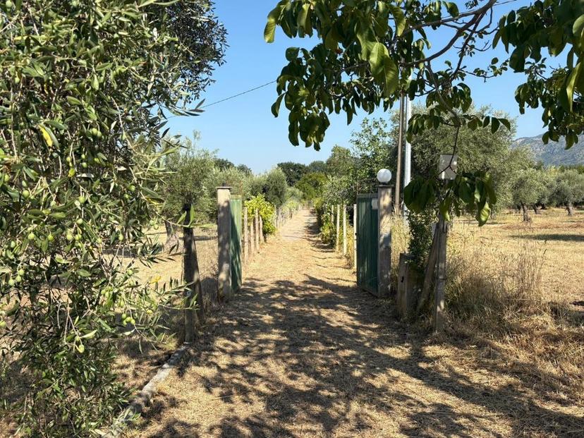 Rustico in V. delle Vigne, Sermoneta