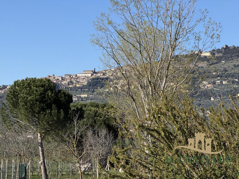 Villa a schiera, Cortona — foto 2 di 5