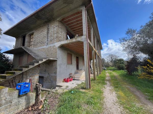 Villa plurifamiliare in Località Piantata, Bolsena — foto 2 di 5