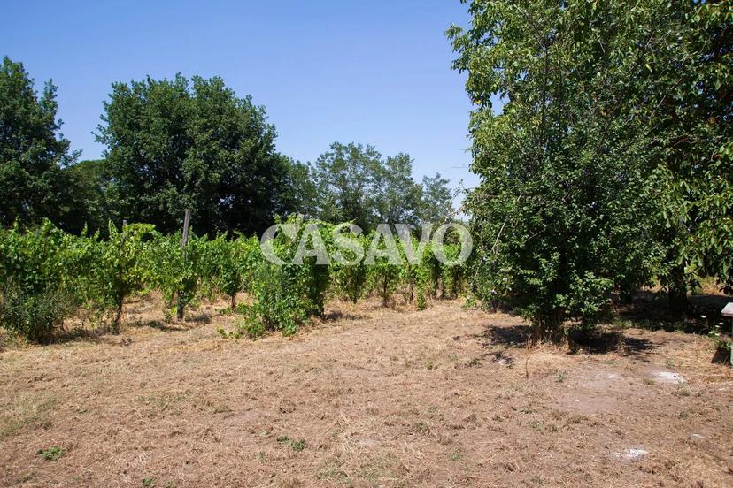 Villa in Via Ettore Maffei 4, Taurasi — foto 3 di 5