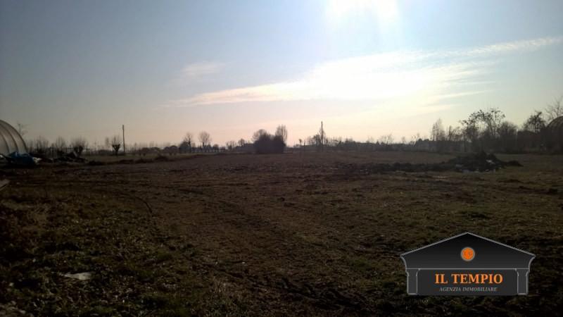 Rustico in Strada Camisana, Grumolo delle Abbadesse — foto 2 di 5