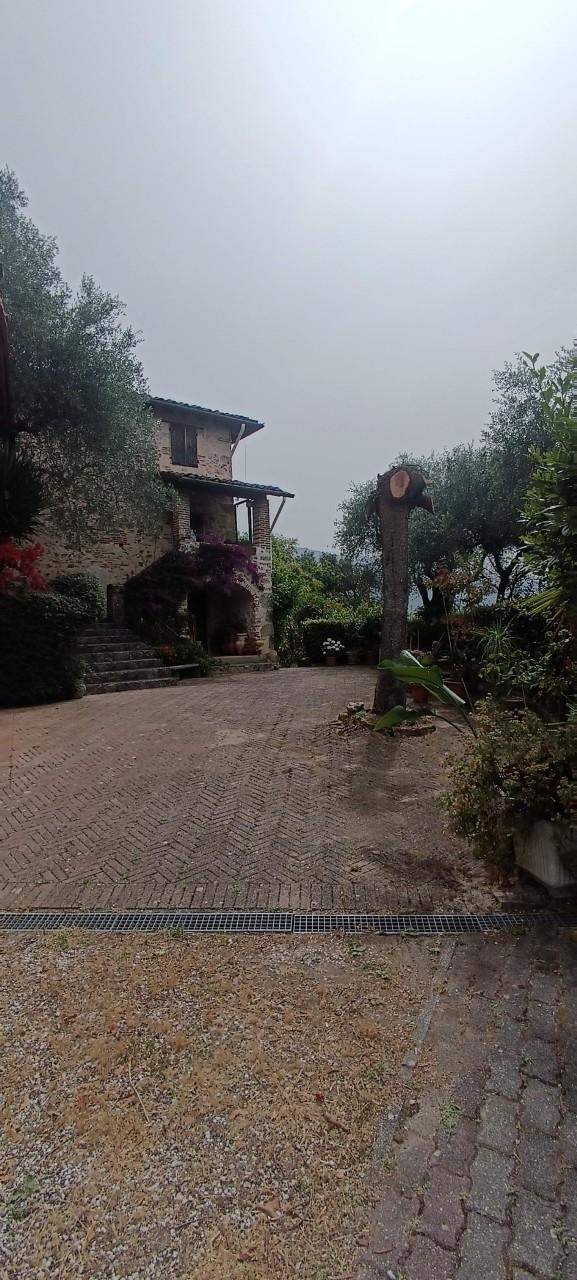 Rustico, Camaiore — foto 2 di 5