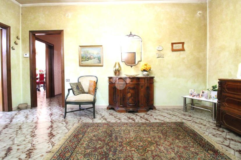 Appartamento in Via Bartolomeo Camardo 2, Ripalimosani — foto 5 di 5
