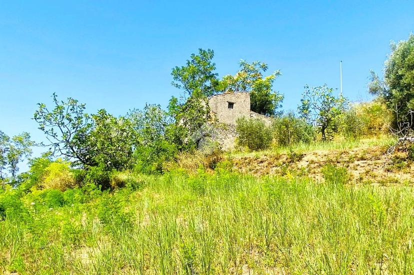 Rustico in Contrada S. Pietro, Falconara Albanese — foto 4 di 5