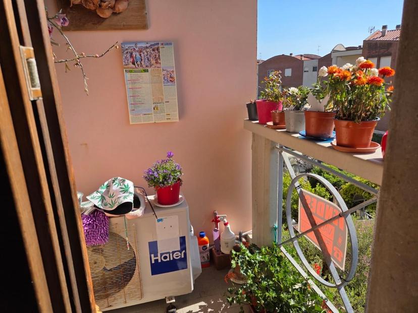 Quadrilocale, Rosignano Marittimo — foto 4 di 5