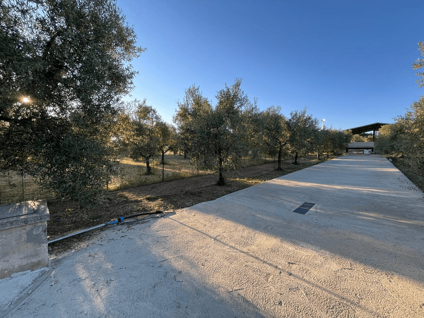 Rustico in Strada Provinciale 22, Bitonto — foto 4 di 5