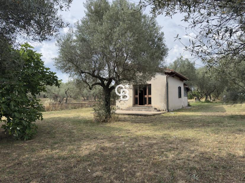 Casa indipendente in Località Pian di San Martino Snc, Vetralla — foto 2 di 5