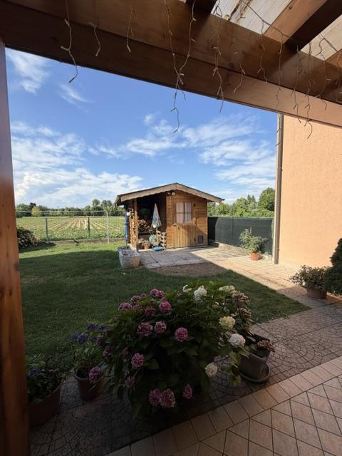 Villa a schiera, Villa del Conte — foto 2 di 5